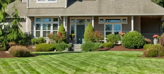 grey house, front yard