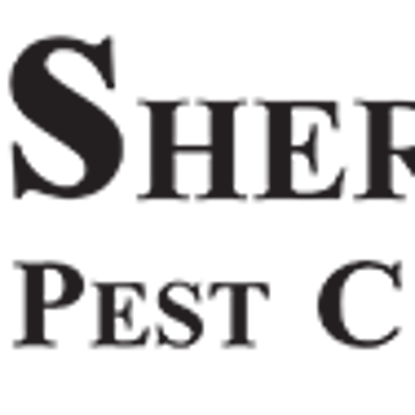 Ethan  Andrews Photo