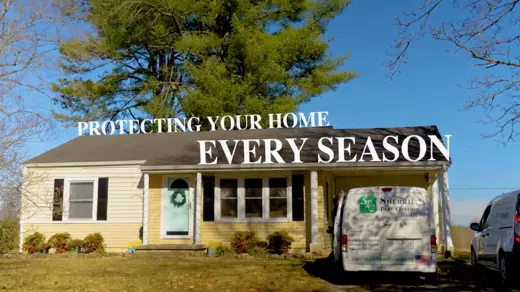 pest protection graphic