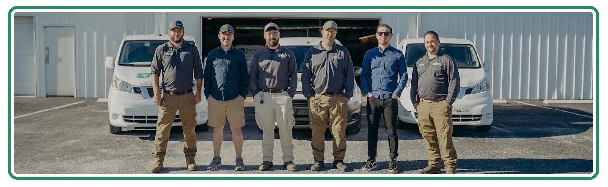 team image