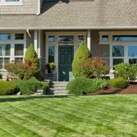 grey house, front yard