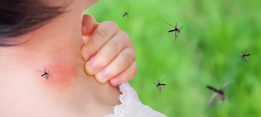mosquitoes swarming and biting a girl on the neck