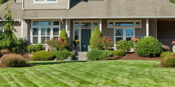 grey house, front yard