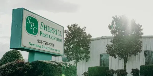 commercial building